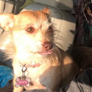 Meet your Posher, Tina